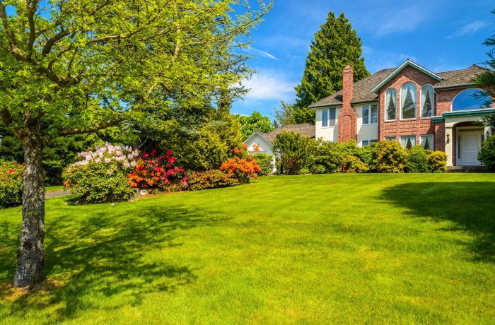 How Good Landscaping Can Increase Your Property Value