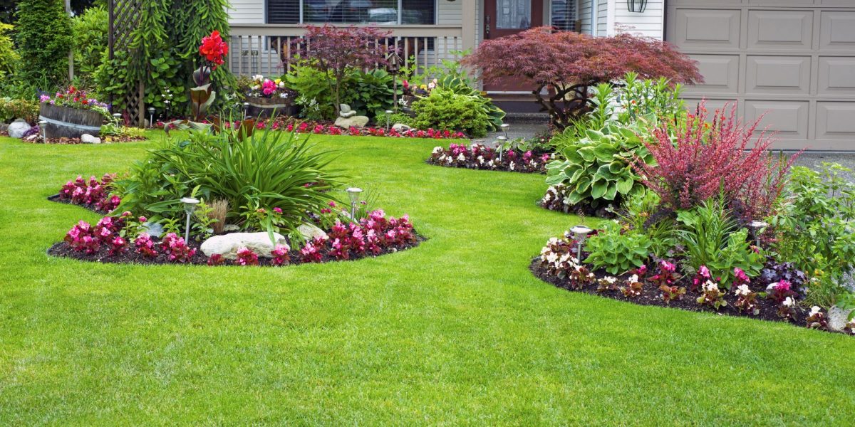 What to Look For When Hiring a Landscape Designer